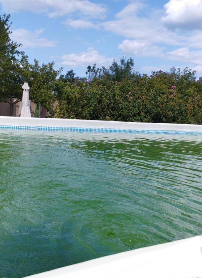 Hotel Baza Otdyha Primor'E Primorskoje Zewnętrze zdjęcie